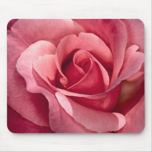 Rosa bonito Mousepad do rosa