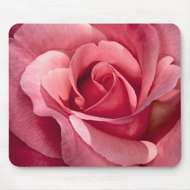 Rosa bonito Mousepad do rosa (Frente)