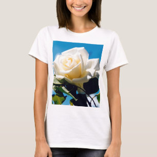 Rosa Branca de Natal - Celebrando a Camiseta da Vi