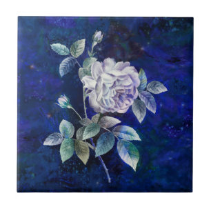Rosa Branca em Fundo Azul-Marinho Texturizado