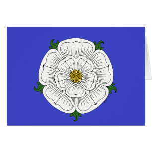 Rosa branco do cartão de York