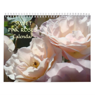 ROSA CALENDÁRIO FLUXAS DE ROSE DE PINCO SUAVE
