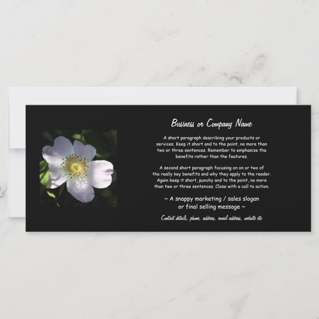 Rosa Canina - Rosa de cão (Frente)