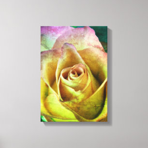 Rosa Canvas Art