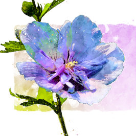 Rosa Chiffon Azul Aquarela Floral Oversized