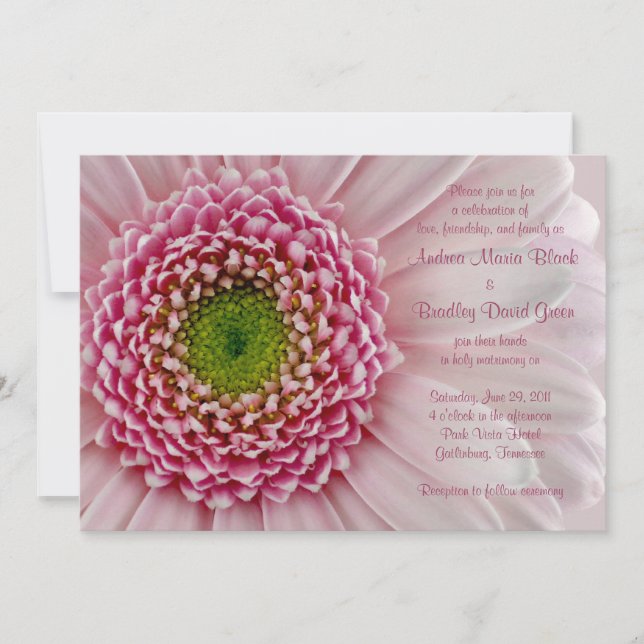 Rosa claro Gerbera Wedding Convite (Frente)