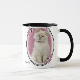 rosa da caneca do ragdoll