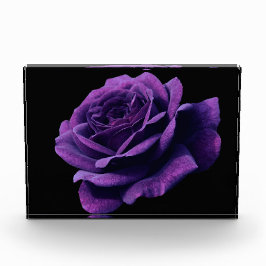 Rosa de amor