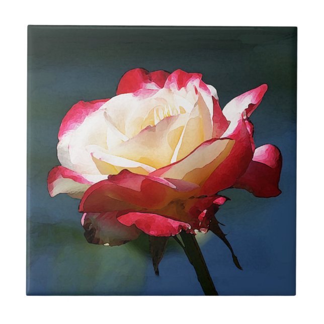 "Rosa de chá híbrido do prazer dobro" (Frente)