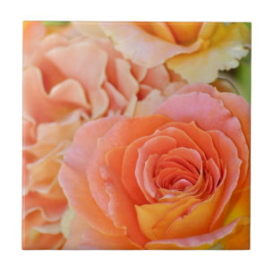Rosa de chá híbrido laranja