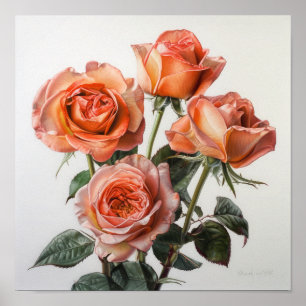Rosa de Coral de Flor de Arte Impressão Poster