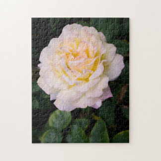 Rosa de Creme Quebra-cabeça de serra
