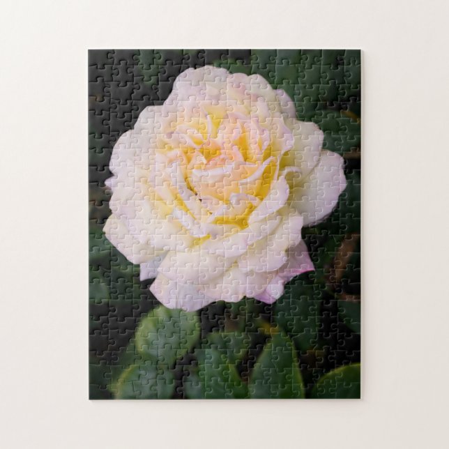 Rosa de Creme Quebra-cabeça de serra (Vertical)