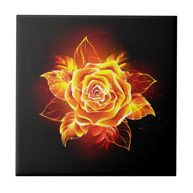 Rosa de Fogo em Flor (Frente)
