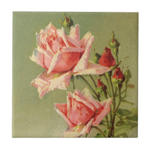 Rosa de jardim rosa vintage do Dia dos Namorados v