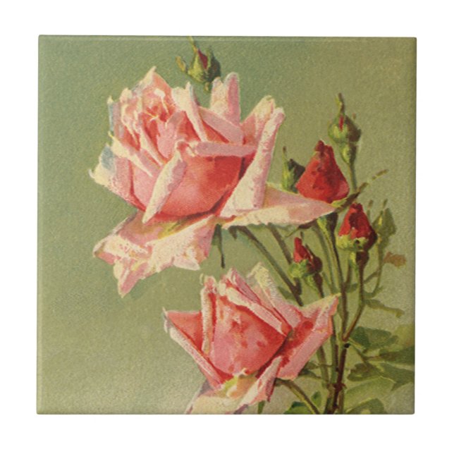 Rosa de Jardim Vitoriano Rosa Dia de os namorados  (Frente)