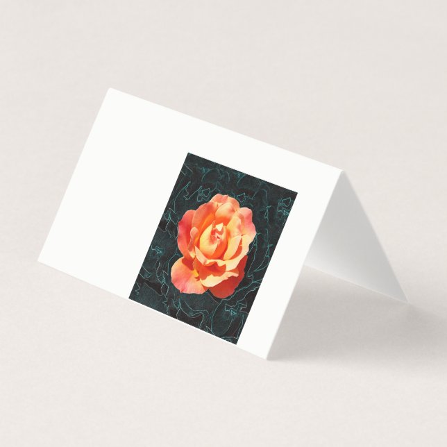 Rosa de laranja claro (Frente)