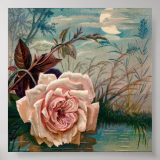 Rosa de Serenata à Lua Poster