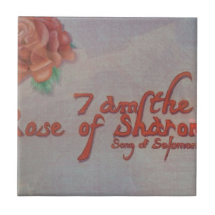 rosa de sharon