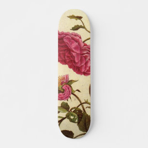Rosa de Skateboard neerlandês