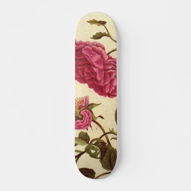 Rosa de Skateboard neerlandês (Frente)