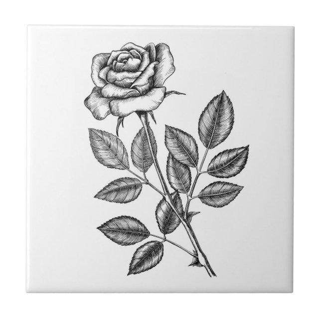 Rosa desenho 2 (Frente)