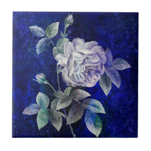 Rosa Detalhada, Pétalas em Azul-Roxo
