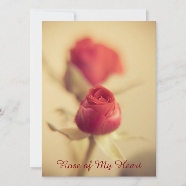 Rosa do meu coração (Frente)