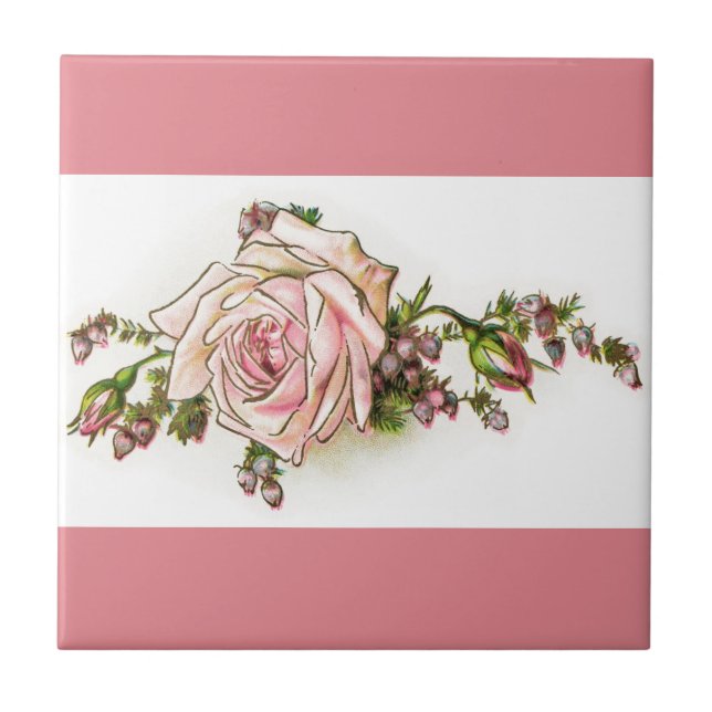 Rosa do rosa do Victorian e azulejo dos botões (Frente)