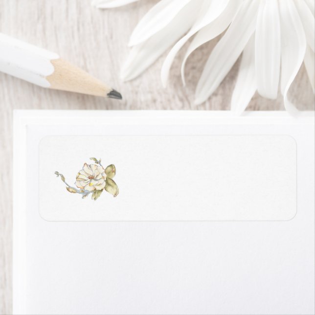 Rosa do Shrub (azul) em uma etiqueta de endereço d (Insitu)