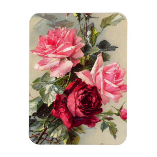 Rosa do vintage e ímã das rosas vermelhas
