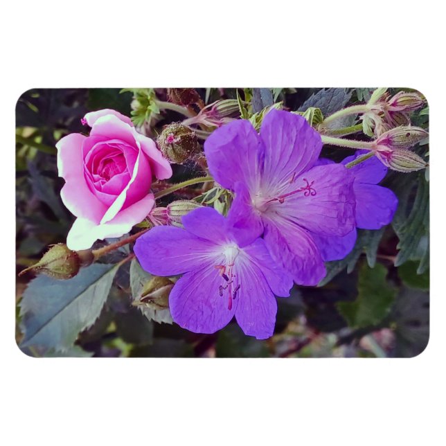 Rosa e Geranium Grande ímã personalizado de fotos (Horizontal)