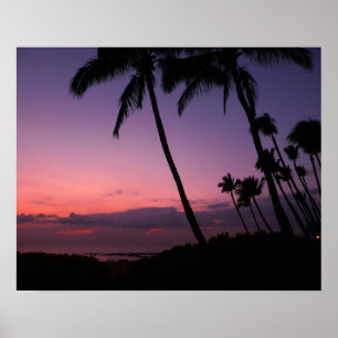 Rosa e impressão tropical roxo do poster do por d