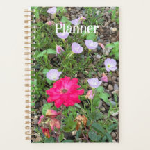 Rosa e Planejador de primrose