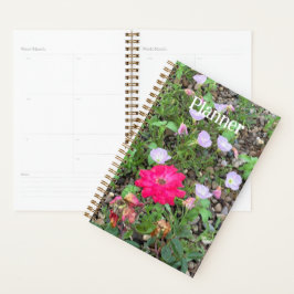 Rosa e Planejador de primrose