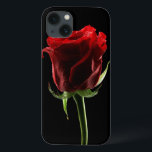 Rosa e Tecido de cor lindos<br><div class="desc">Belo rosa e tecido colorido,  isolado em preto © e ® Bigstock® - Todos os Direitos Reservados.</div>