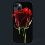 Rosa e Tecido de cor lindos<br><div class="desc">Belo rosa e tecido colorido,  isolado em preto © e ® Bigstock® - Todos os Direitos Reservados.</div>