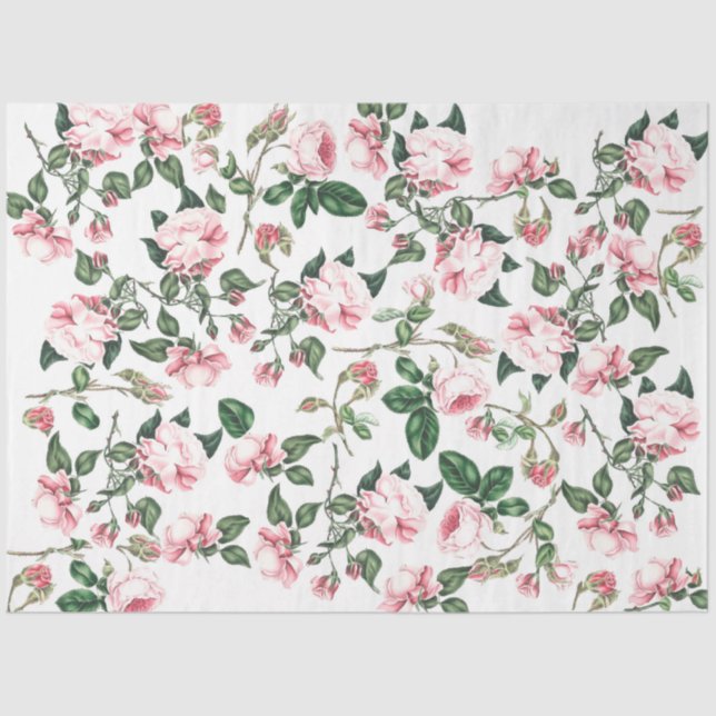 Rosa Flores Rosebuds Papel Tecido Floral (Frente )