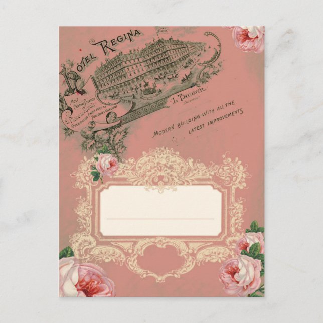 Rosa francês - Cartão postal (Frente)