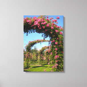 Rosa Garden Arches de Elizabeth Park Canvas Print