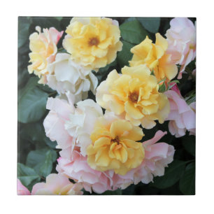 Rosa Garden Pastas cerâmicas Azulejo