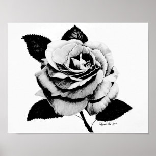 Rosa gravado com Poster de 11x14