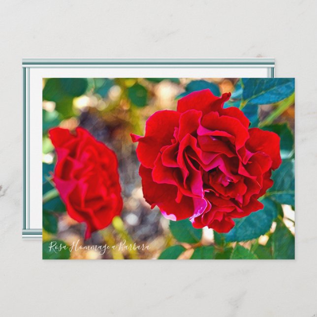Rosa Hommage a Barbara: Flat Card (Frente/Verso)