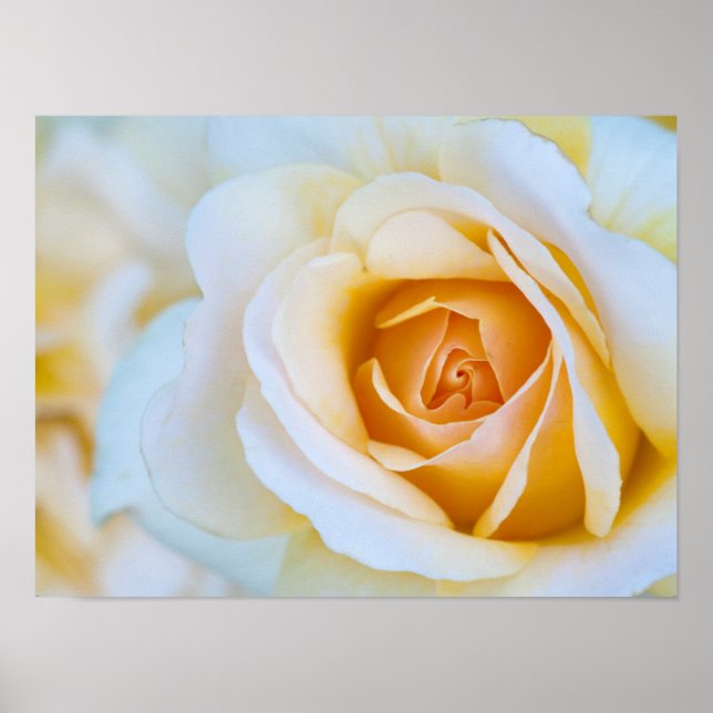 Rosa Impressão, Poster de valor (Matte) (Frente)