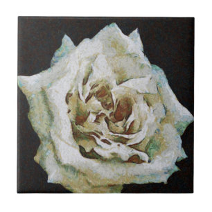 Rosa Impressionista Isolado a Preto