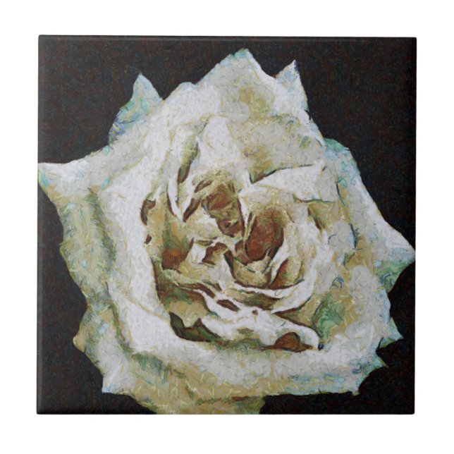 Rosa Impressionista Isolado a Preto (Frente)