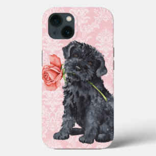 Rosa Kerry Blue Terrier namorados