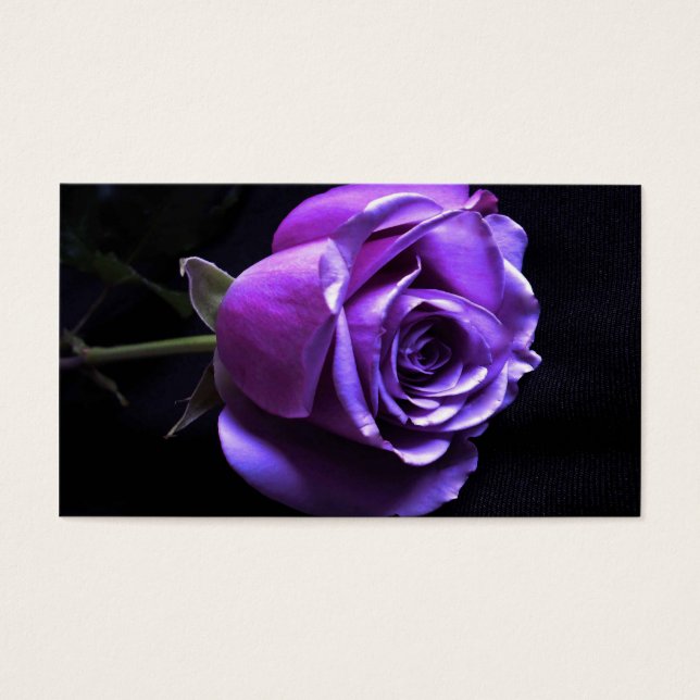 rosa lavanda (Frente)
