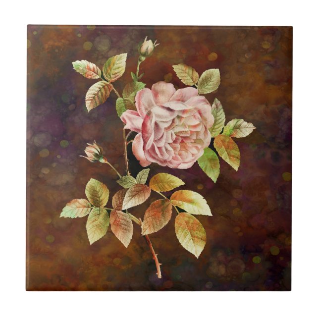 Rosa lindamente detalhada em cores terrosas (Frente)