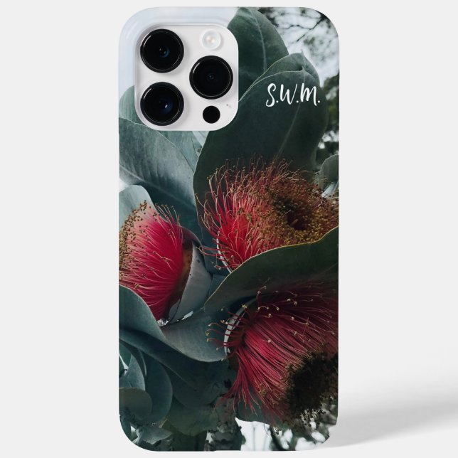 Rosa-mallee eucalipto florescente australiano (Verso)